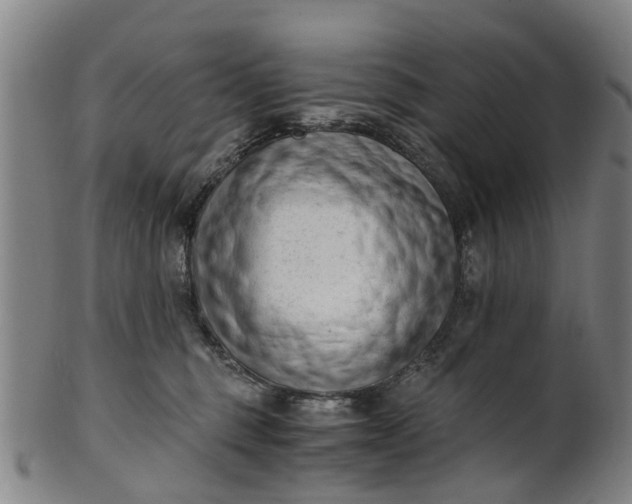 X0000101660375200807241423