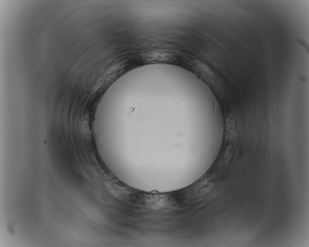 X0000101660377200807241423