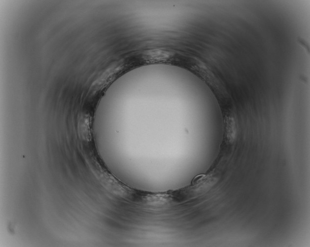 X0000101660378200807241423