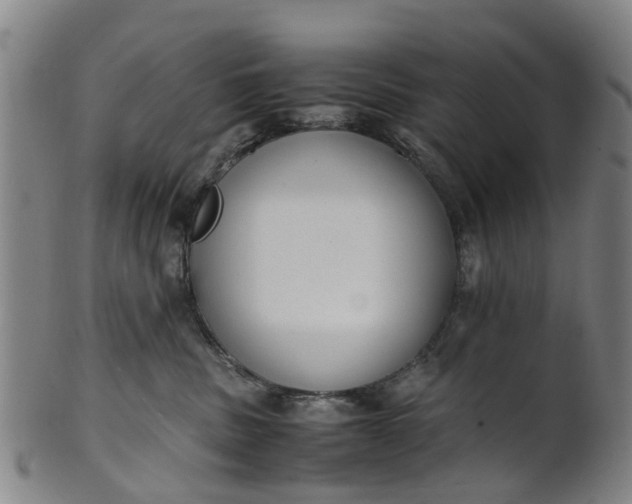 X0000101660379200807241423