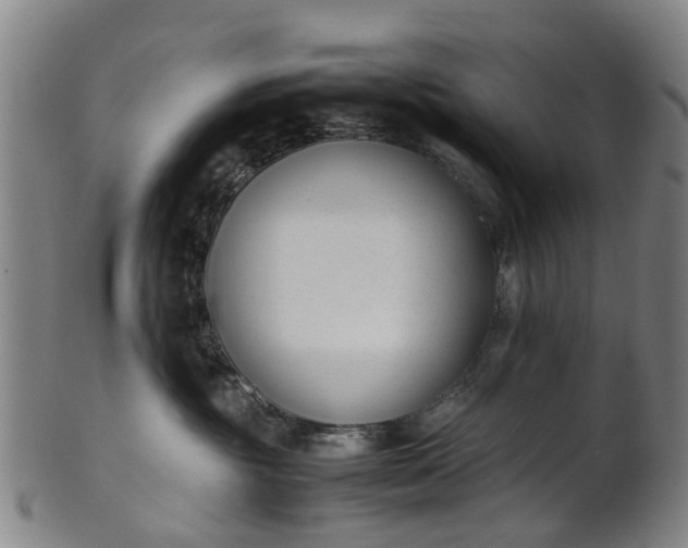 X0000101660381200807241423