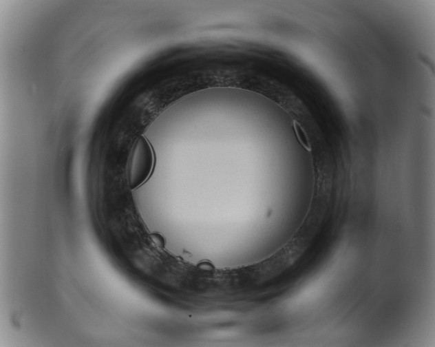 X0000101660383200807241423