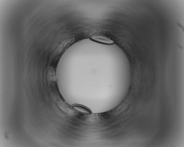 X0000101660384200807241423