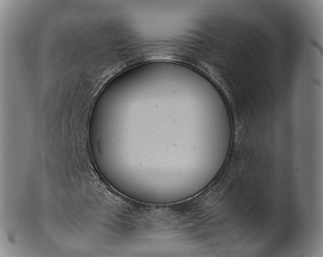 X0000101660385200807241422