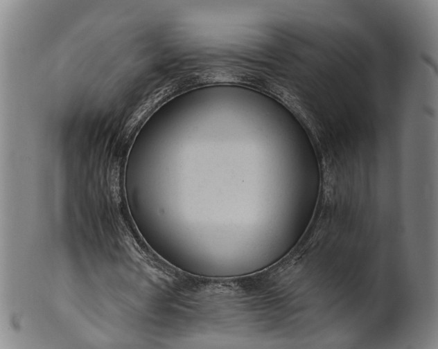 X0000101660386200807241422