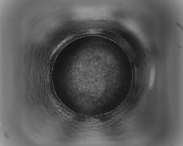 X0000101660387200807241422