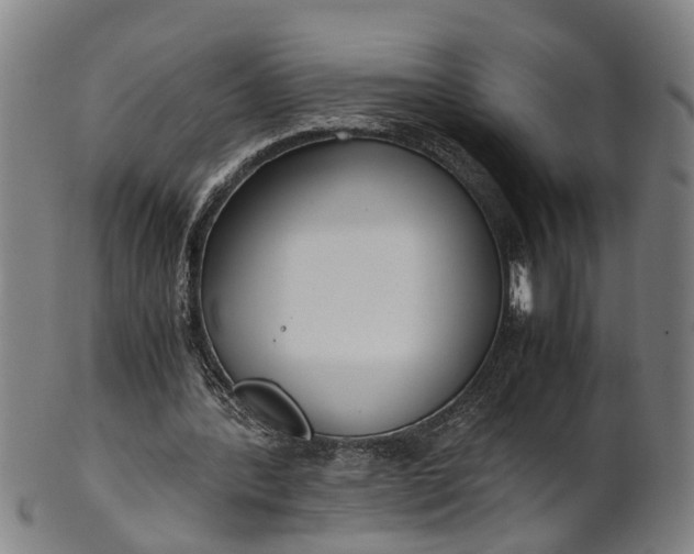 X0000101660388200807241422