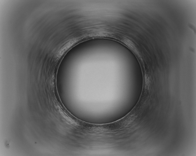 X0000101660389200807241422