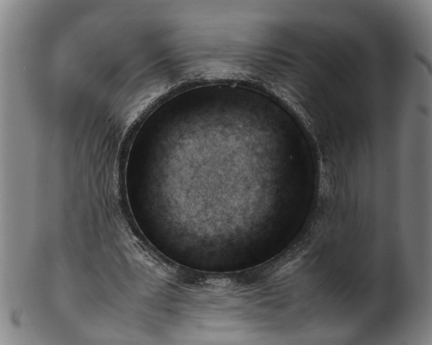 X0000101660391200807241422