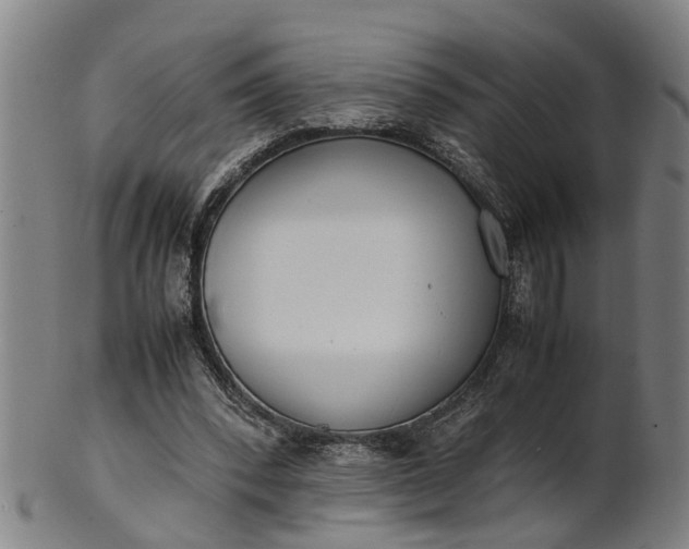 X0000101660392200807241422