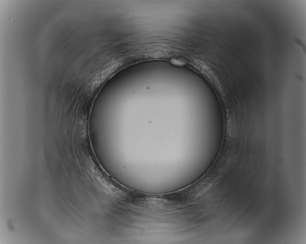 X0000101660393200807241422