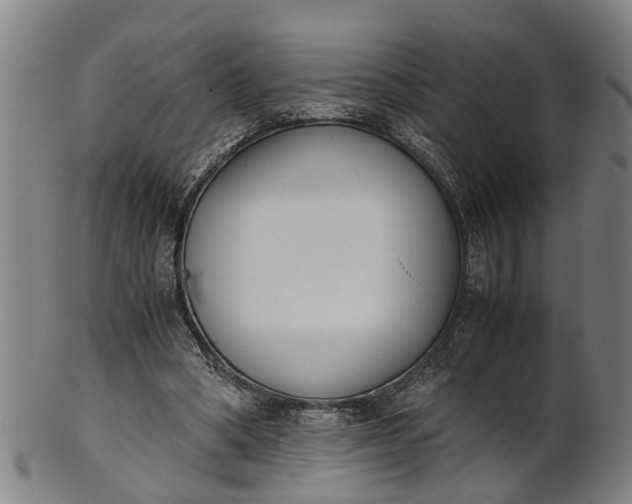 X0000101660394200807241422