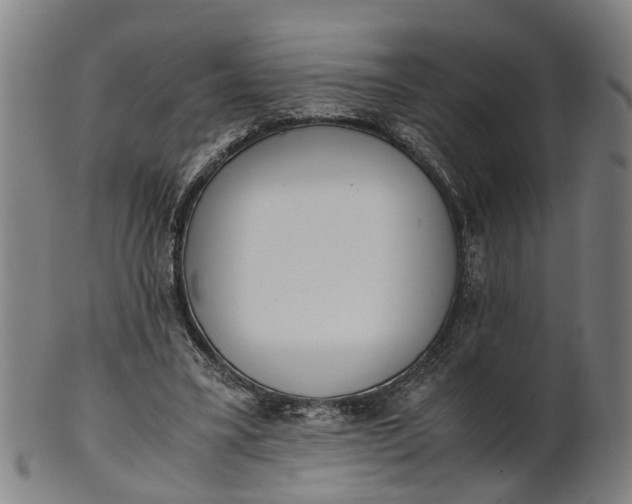 X0000101660395200807241422