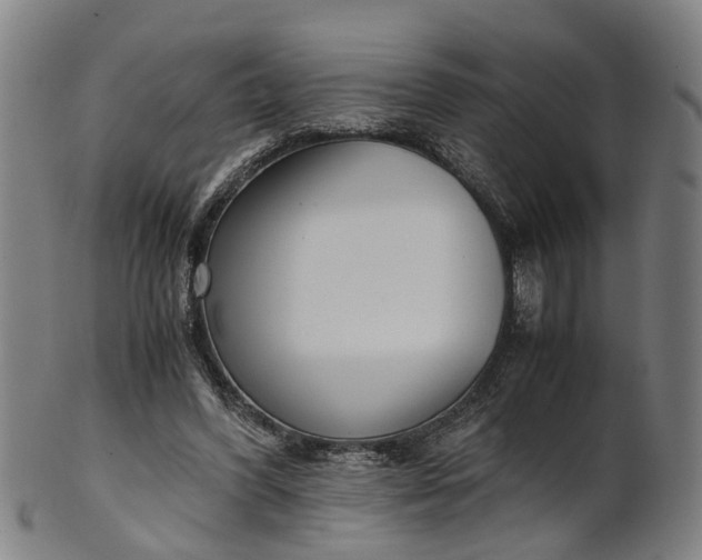 X0000101660396200807241422