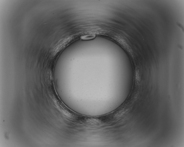 X0000101660397200807241422