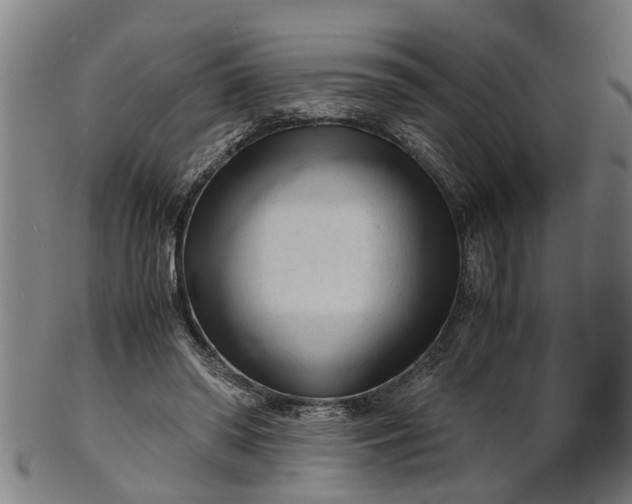 X0000101660398200807241422