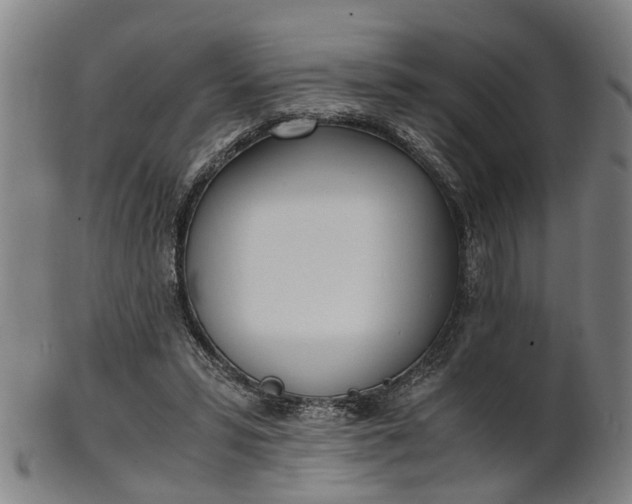 X0000101660399200807241422