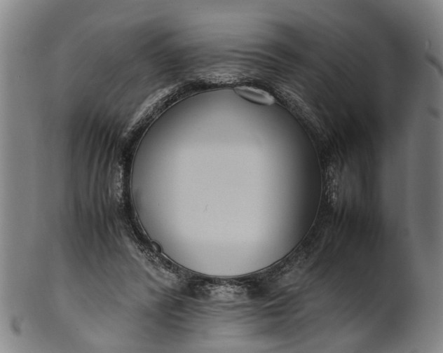 X0000101660400200807241422