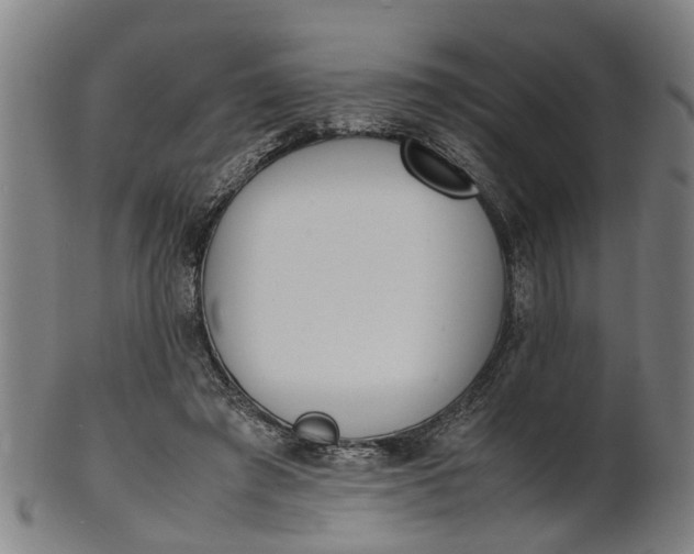 X0000101660401200807241422