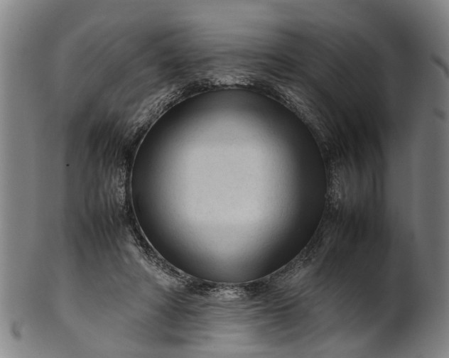 X0000101660402200807241422