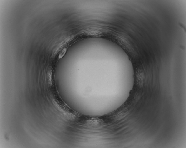 X0000101660404200807241422