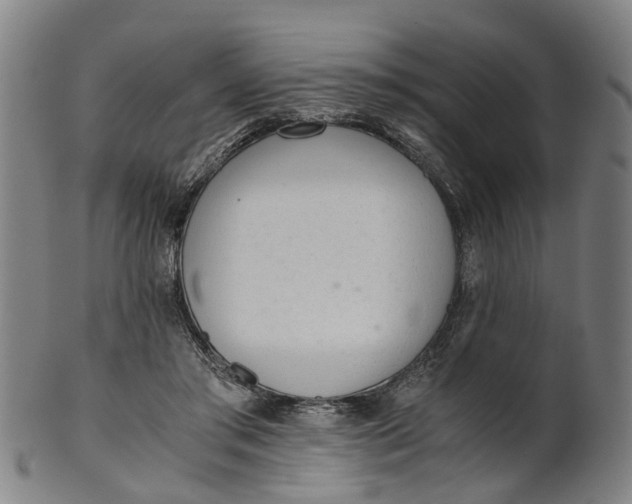 X0000101660405200807241422