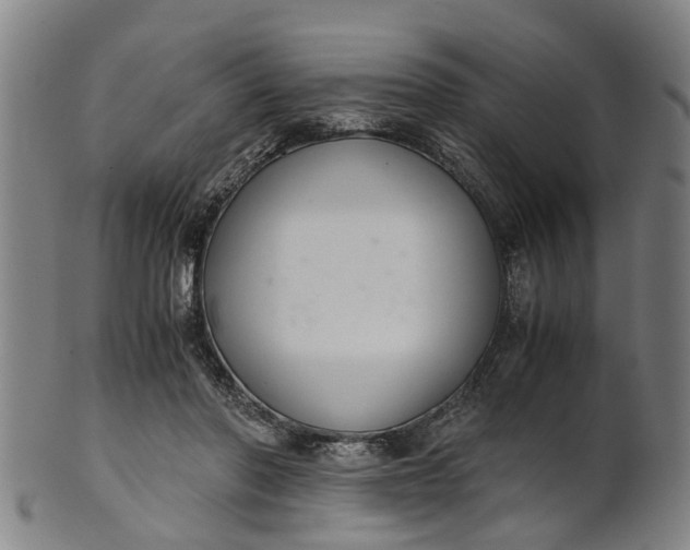 X0000101660406200807241422