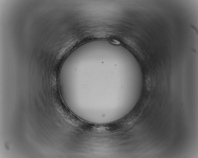 X0000101660407200807241422