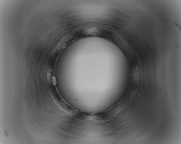 X0000101660408200807241422