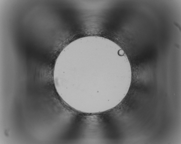 X0000101660411200807241422