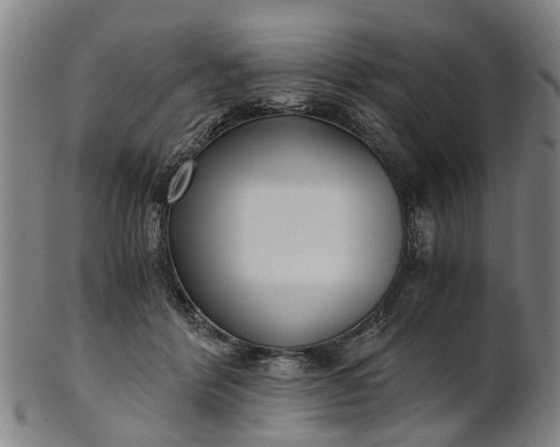 X0000101660412200807241422