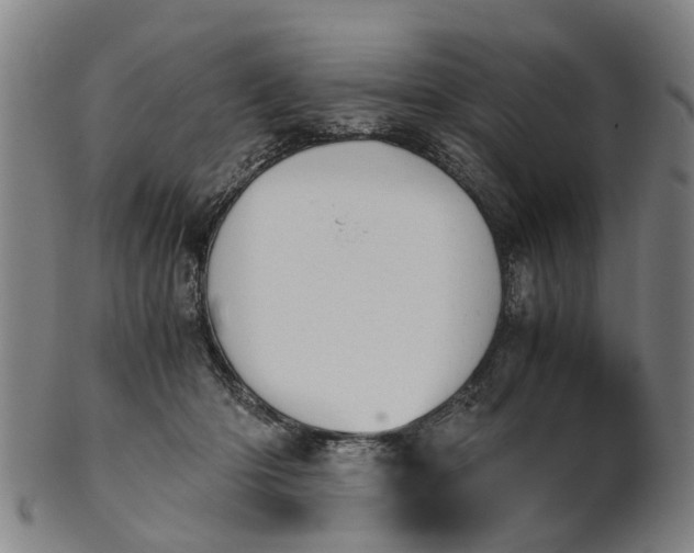 X0000101660414200807241422