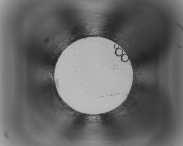 X0000101660415200807241422