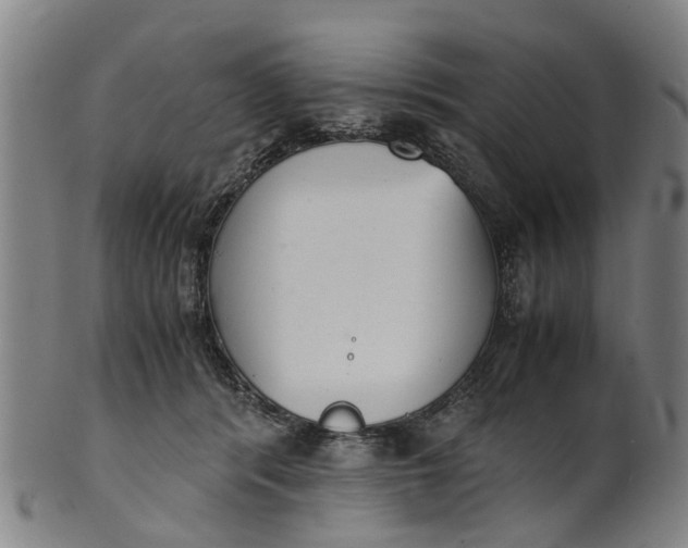 X0000101660416200807241422