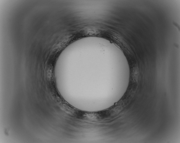 X0000101660417200807241422