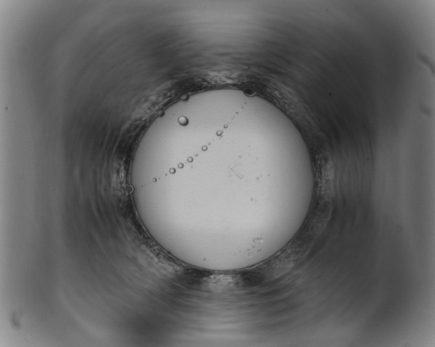 X0000101660418200807241422