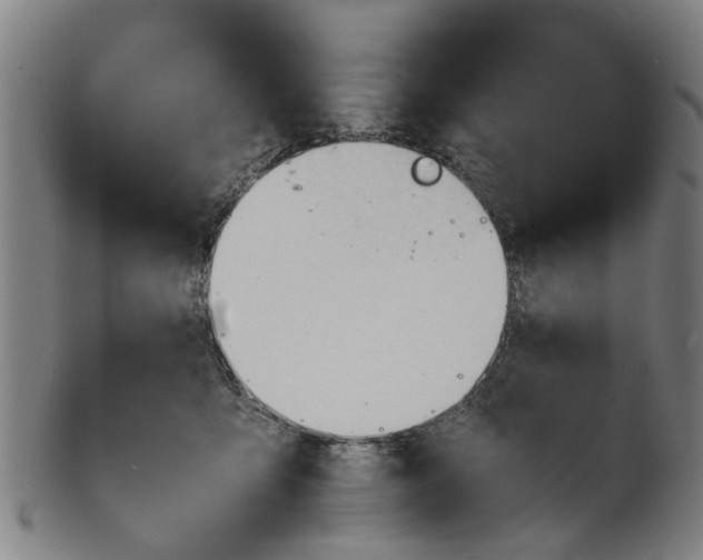 X0000101660419200807241422