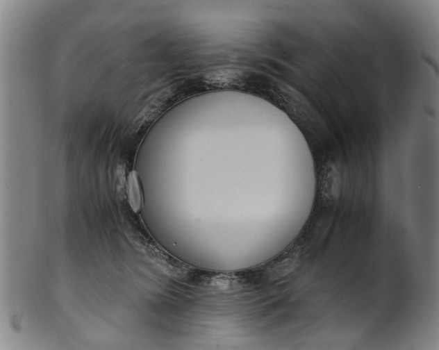 X0000101660420200807241422