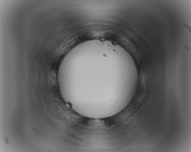 X0000101660421200807241422