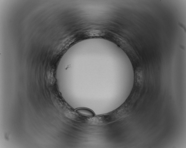 X0000101660422200807241422