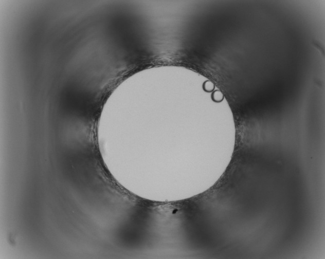 X0000101660423200807241422