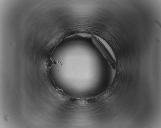 X0000101660424200807241422