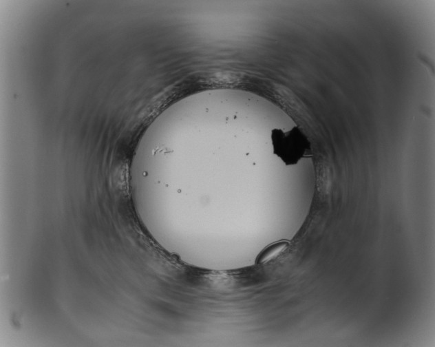 X0000101660425200807241422