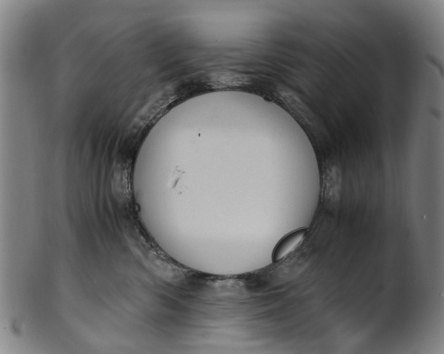 X0000101660426200807241422