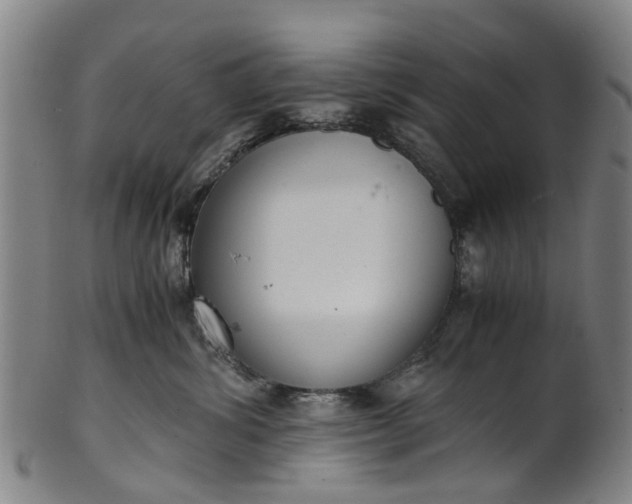 X0000101660428200807241422