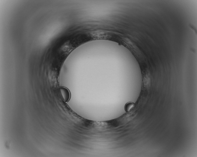 X0000101660429200807241422