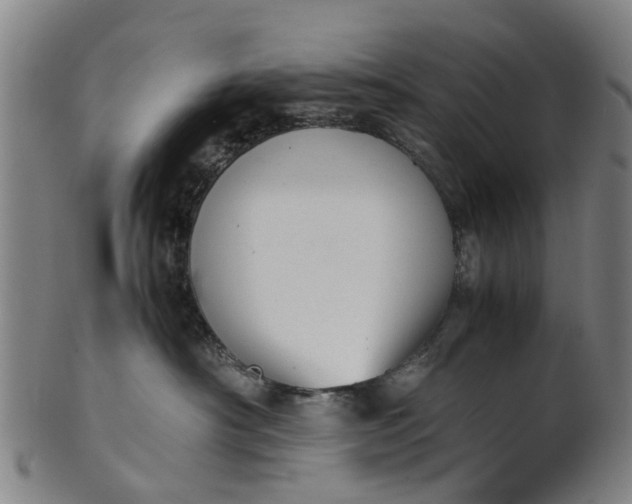 X0000101660430200807241422