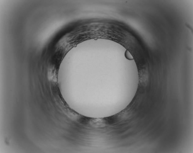 X0000101660431200807241422