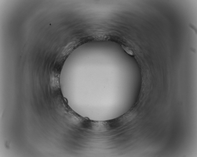 X0000101660432200807241422