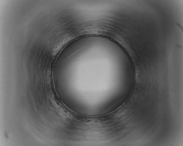 X0000101660434200807241421